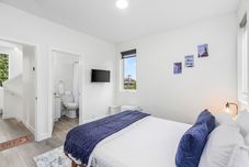 其他 Stag Sweet Suite