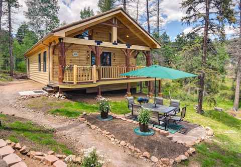 Lain-lain Conifer Log Cabin Rental w/ Private Hot Tub & Pond