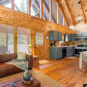 Primary image1Sevierville Treetop Cabin: Hot Tub & Covered Deck,Pigeon Forge別墅