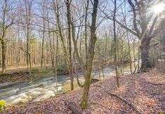 其他 3 Pearl Creek House w/ Barrel Sauna & Fire Pit!