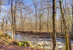 其他 7 Pearl Creek House w/ Barrel Sauna & Fire Pit!