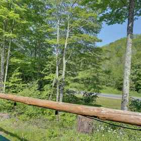 Interior 1 Private Cabin Rental in the Catskill Mountains!, Delaware County Hotels