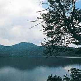 Facility 1 Pension Morinokobito, Hotel Balai Warga Honna