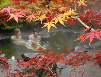 Lainnya 2 Nozowaonsen Hotel