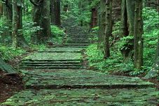 Common Space Flowery Inn Kayuu