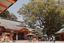 Exterior Flowery Inn Kayuu