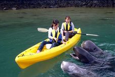 Fitness Center Flowery Inn Kayuu