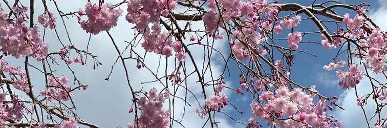 Lain-lain Urijima Onsen Suikouen Sakura