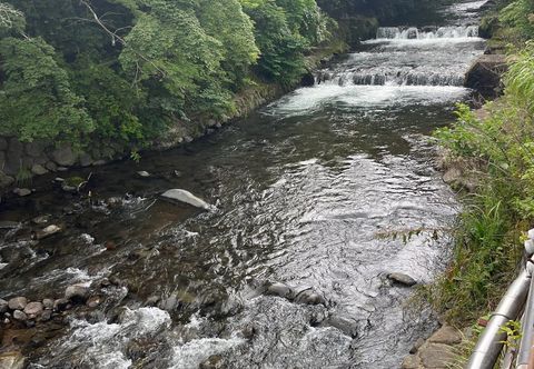 Others Yugawara Hot Spring Inn Fujitaya