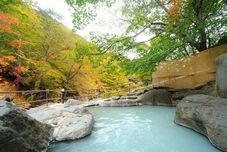 Entertainment Facility Fukushima-ya' Namegawa Onsen