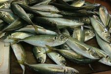 Ruang untuk Umum Oyado Nagao