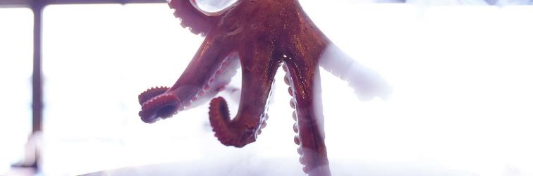 로비 Minshuku Kinosuke