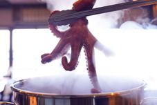 Lobi Minshuku Kinosuke