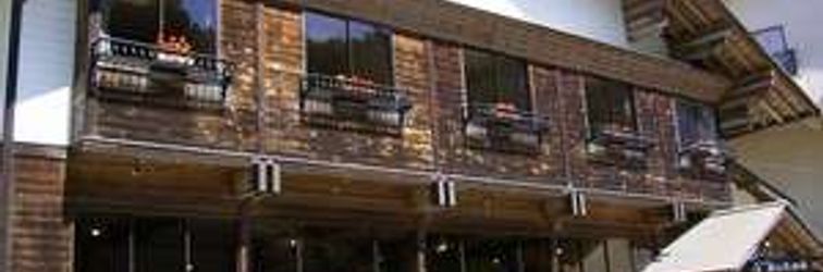 기타 Ashita No Mori