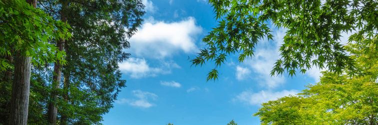 Others Diamond Hakone Society