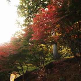 Exterior 1 Chausuyama Onsen Mori No Yado Yuuseikan, Tsubasa Hotels