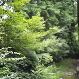 Exterior 1 Hakone Bangakurou, Ashigarako Michi Manyo Udon Main Store Hotels