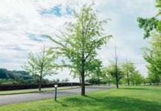 公共空间 4 Helena International Villa