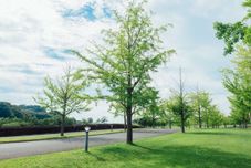 公共空间 Helena International Villa