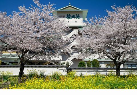 Others Enjoy the Onsen in TheOhtawara Onsen Hotel Ryujyoen