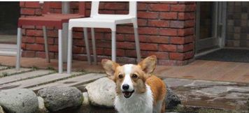 Exterior 5 HOTEL RINKA Hakone Gora Resort