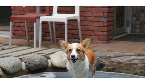 Exterior 2 HOTEL RINKA Hakone Gora Resort