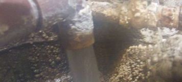 Others 2 100percent-Onsen Shin-Horii