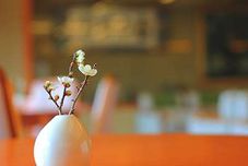 บาร์ คาเฟ่ และเลานจ์ Eihokaku