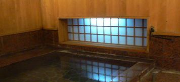 Others 2 Business Hotel Azeria