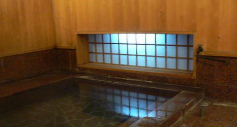 Others 2 Business Hotel Azeria