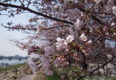 其他 4 Nigata Grand Hotel