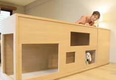 기타 6 Yururi Hakone with Dogs