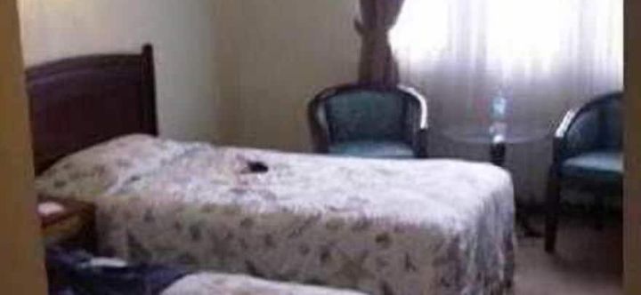 その他 2 New Sanyrosa