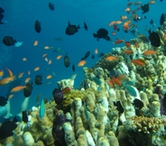 Khác 4 Manta Dive Gili Trawangan Hotel