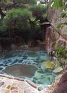 SWIMMING_POOL Ryokan Adumaya