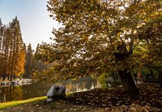 Others 2 7 Days Premium Qingdao World of Ocean Qingdao University