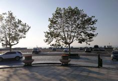 Others 4 7 Days Premium Qingdao World of Ocean Qingdao University