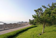 Others 7 7 Days Premium Qingdao World of Ocean Qingdao University