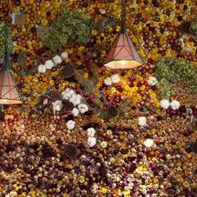 Lobby 1 Cangwei Hostel, 西安 酒店