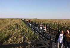 Others 6 GreenTree Inn Chongming Nanmen Express Hotel
