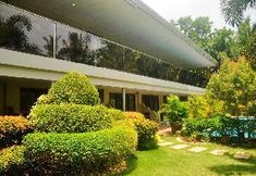 Others 6 Alona Golden Palm