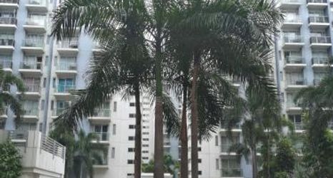 其他 2 Palm Tree Two Villas