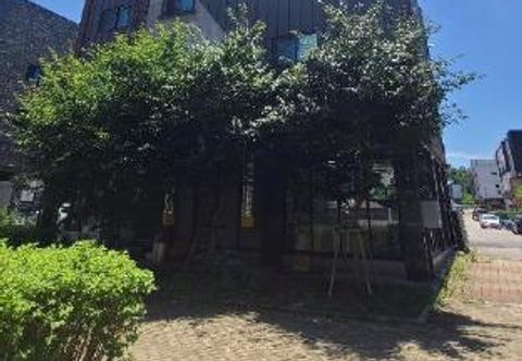 기타 Treehouse Unseo