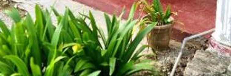 其他 Rainbow Bed & Breakfast