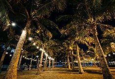 Others 6 Safe-Transient @NAIA Airports/U201