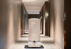 Others 7 朗丽兹酒店深圳罗湖口岸店