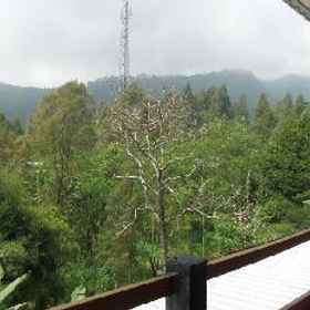 Other 1 Istana Petani Homestay Bromo, Probolinggo Hotels