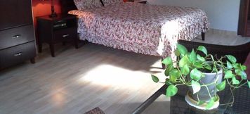 其他 6 Casa Beach Resort