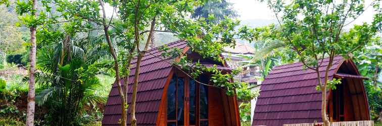 Lainnya Oak Tree Bali