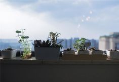 Swimming Pool 3 good rain know